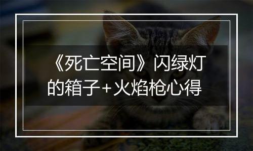 《死亡空间》闪绿灯的箱子+火焰枪心得