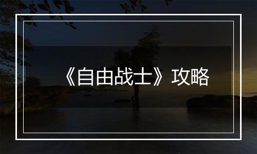 《自由战士》攻略
