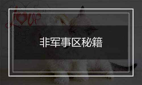 非军事区秘籍