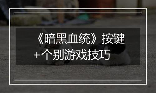 《暗黑血统》按键+个别游戏技巧