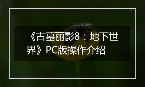 《古墓丽影8：地下世界》PC版操作介绍