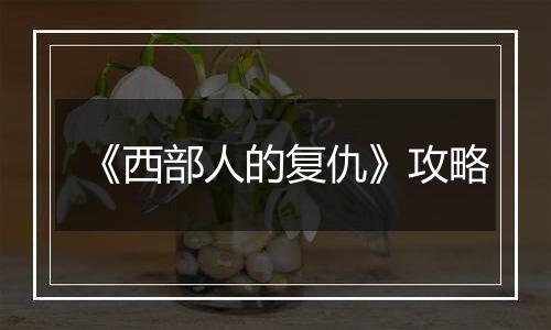 《西部人的复仇》攻略