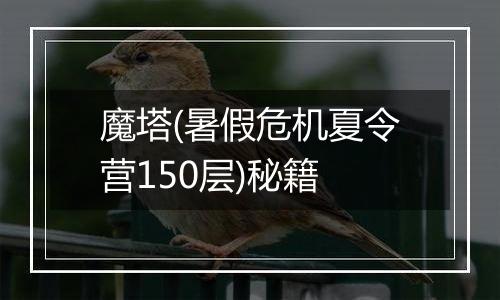 魔塔(暑假危机夏令营150层)秘籍