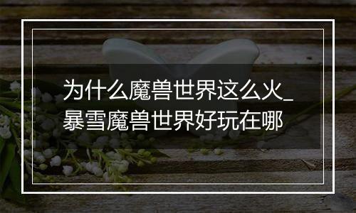 为什么魔兽世界这么火_暴雪魔兽世界好玩在哪