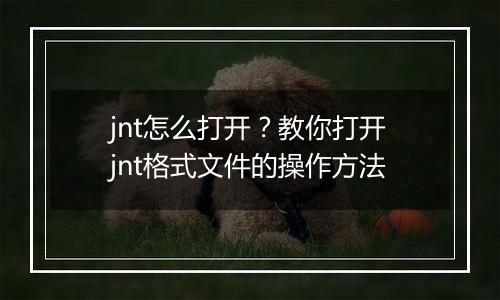jnt怎么打开？教你打开jnt格式文件的操作方法