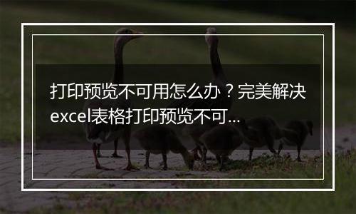 打印预览不可用怎么办？完美解决excel表格打印预览不可用的方法