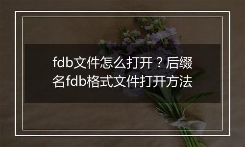 fdb文件怎么打开？后缀名fdb格式文件打开方法