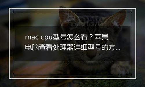 mac cpu型号怎么看？苹果电脑查看处理器详细型号的方法
