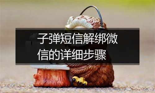 子弹短信解绑微信的详细步骤