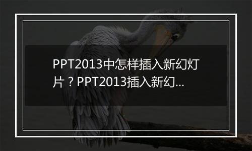 PPT2013中怎样插入新幻灯片？PPT2013插入新幻灯片教程