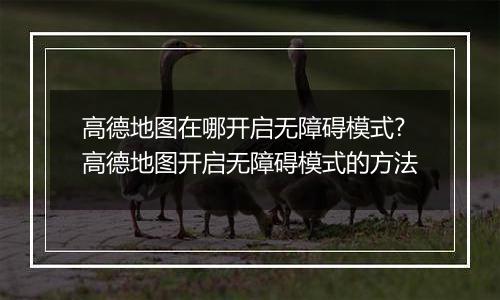 高德地图在哪开启无障碍模式?高德地图开启无障碍模式的方法