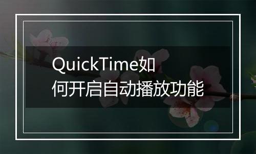 QuickTime如何开启自动播放功能