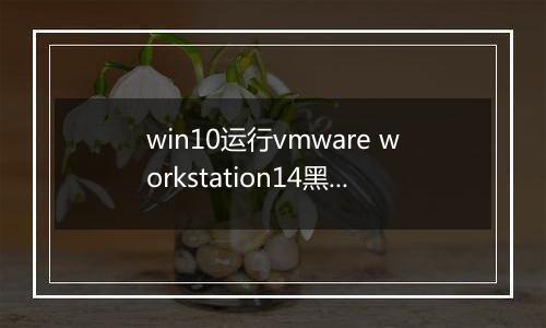 win10运行vmware workstation14黑屏的完美解决方法