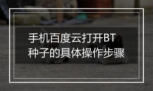 手机百度云打开BT种子的具体操作步骤