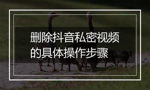 删除抖音私密视频的具体操作步骤