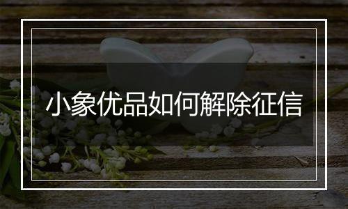 小象优品如何解除征信