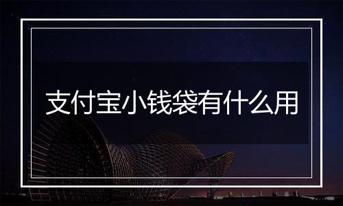 支付宝小钱袋有什么用