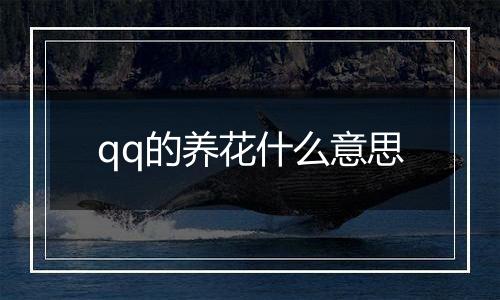 qq的养花什么意思