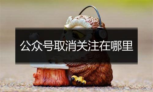 公众号取消关注在哪里