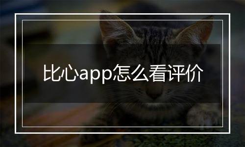 比心app怎么看评价