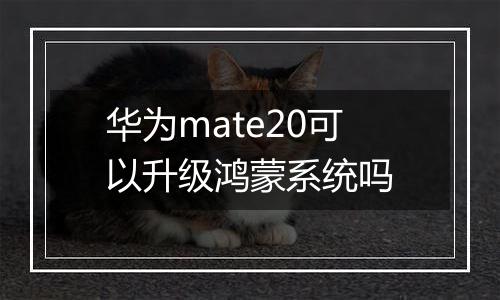 华为mate20可以升级鸿蒙系统吗