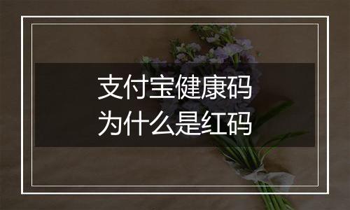 支付宝健康码为什么是红码