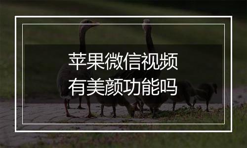 苹果微信视频有美颜功能吗
