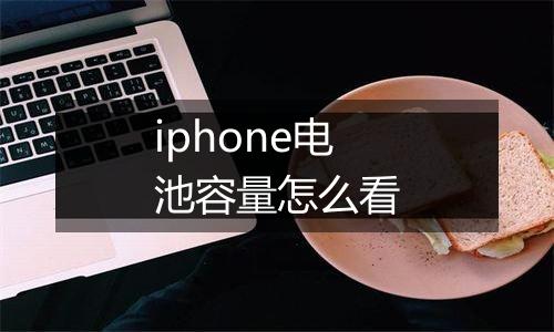 iphone电池容量怎么看