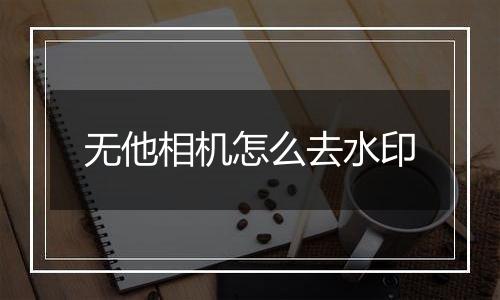 无他相机怎么去水印