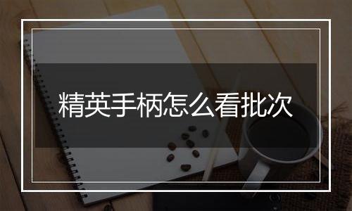 精英手柄怎么看批次