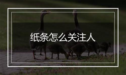 纸条怎么关注人