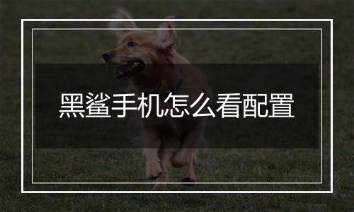 黑鲨手机怎么看配置