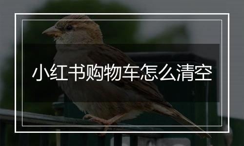 小红书购物车怎么清空
