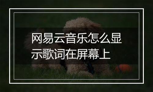 网易云音乐怎么显示歌词在屏幕上
