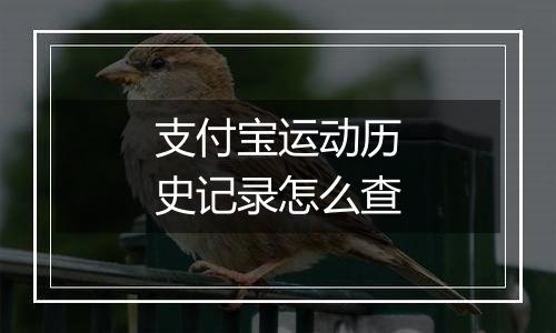 支付宝运动历史记录怎么查