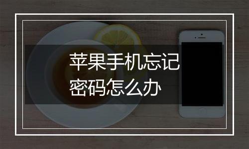 苹果手机忘记密码怎么办