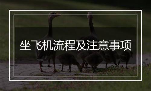 坐飞机流程及注意事项