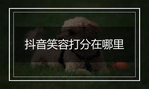 抖音笑容打分在哪里