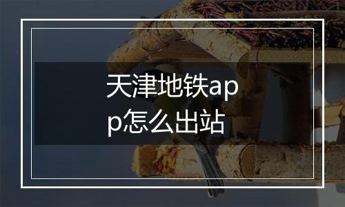 天津地铁app怎么出站