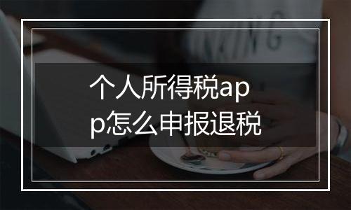个人所得税app怎么申报退税