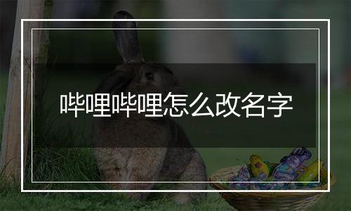 哔哩哔哩怎么改名字