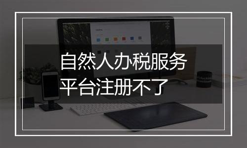 自然人办税服务平台注册不了