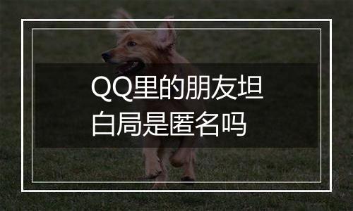 QQ里的朋友坦白局是匿名吗