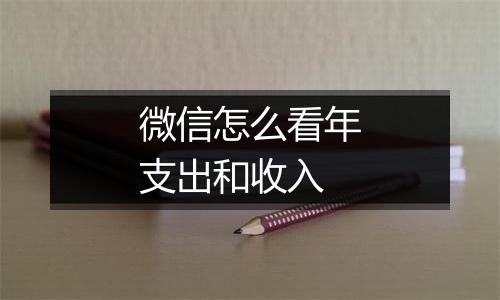 微信怎么看年支出和收入