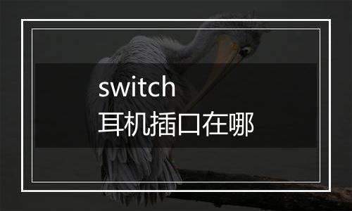 switch耳机插口在哪