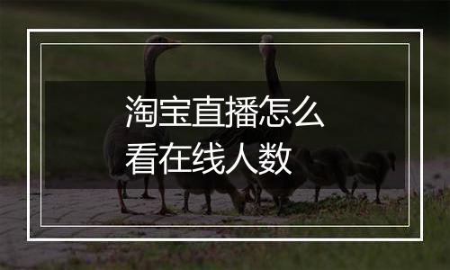 淘宝直播怎么看在线人数