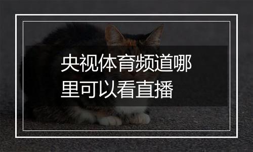 央视体育频道哪里可以看直播