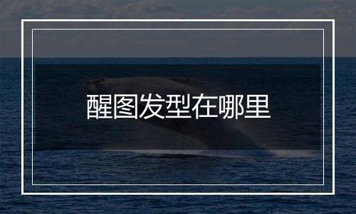 醒图发型在哪里