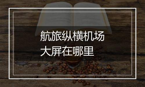 航旅纵横机场大屏在哪里