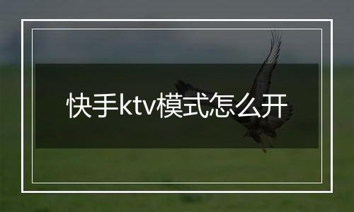 快手ktv模式怎么开